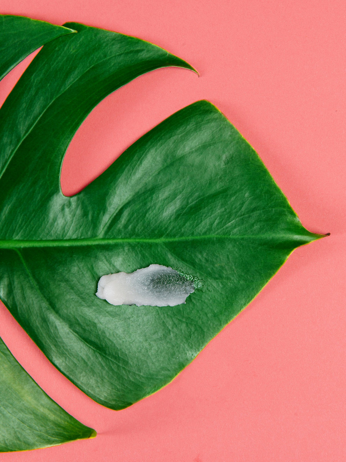 coconut baby oil balm for cradle cap